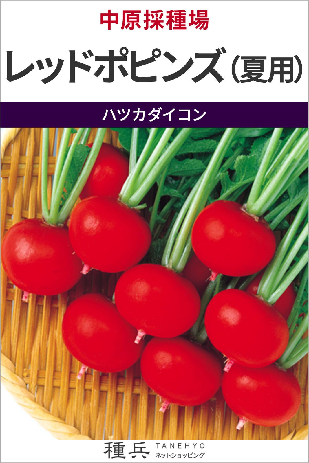 ハツカダイコン 種 『レッドポピンズ（夏用）』  中原採種場