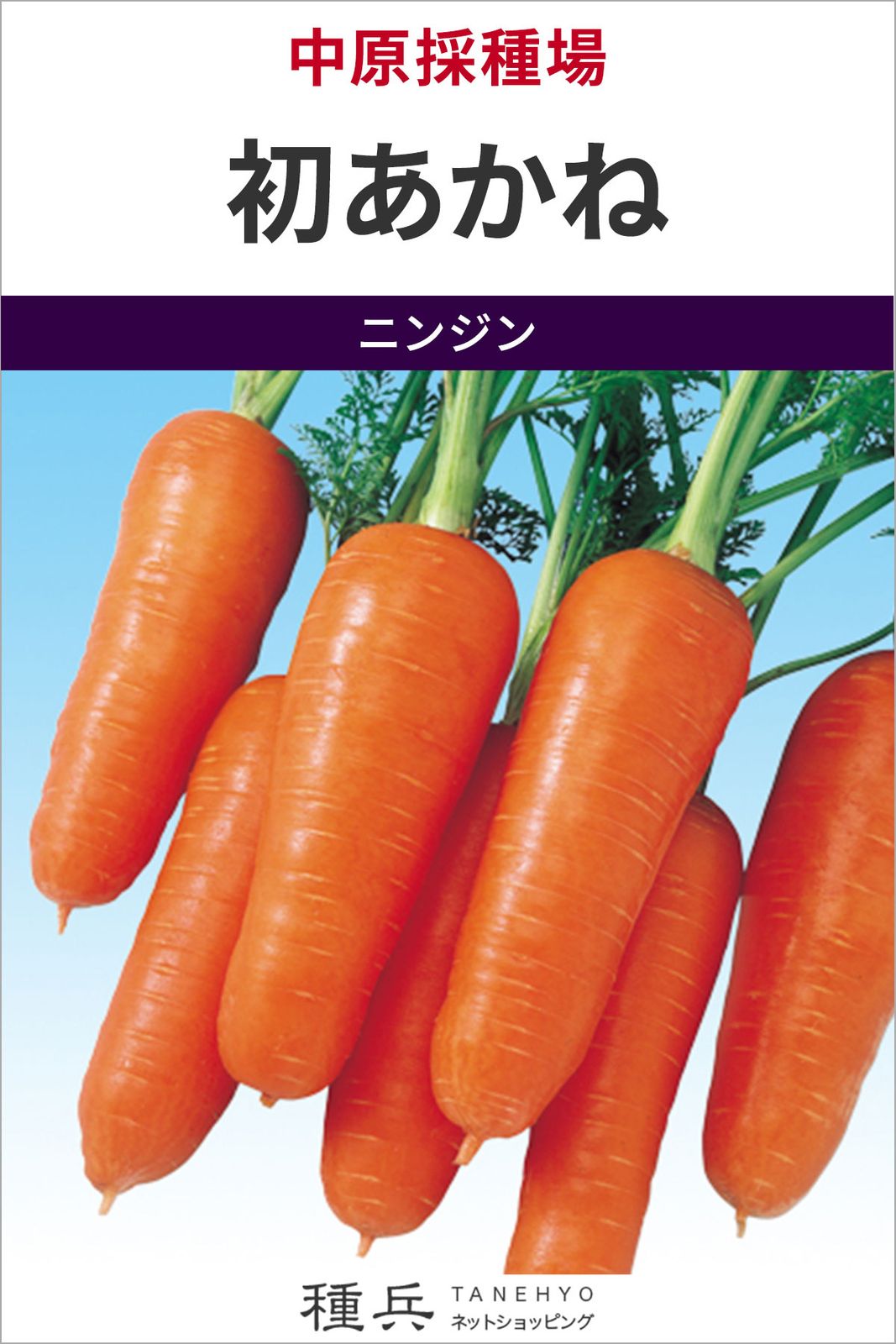 三季まきニンジン 種 『初あかね』  中原採種場