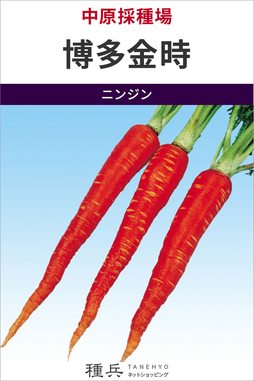 ニンジン 種 『博多金時』  中原採種場