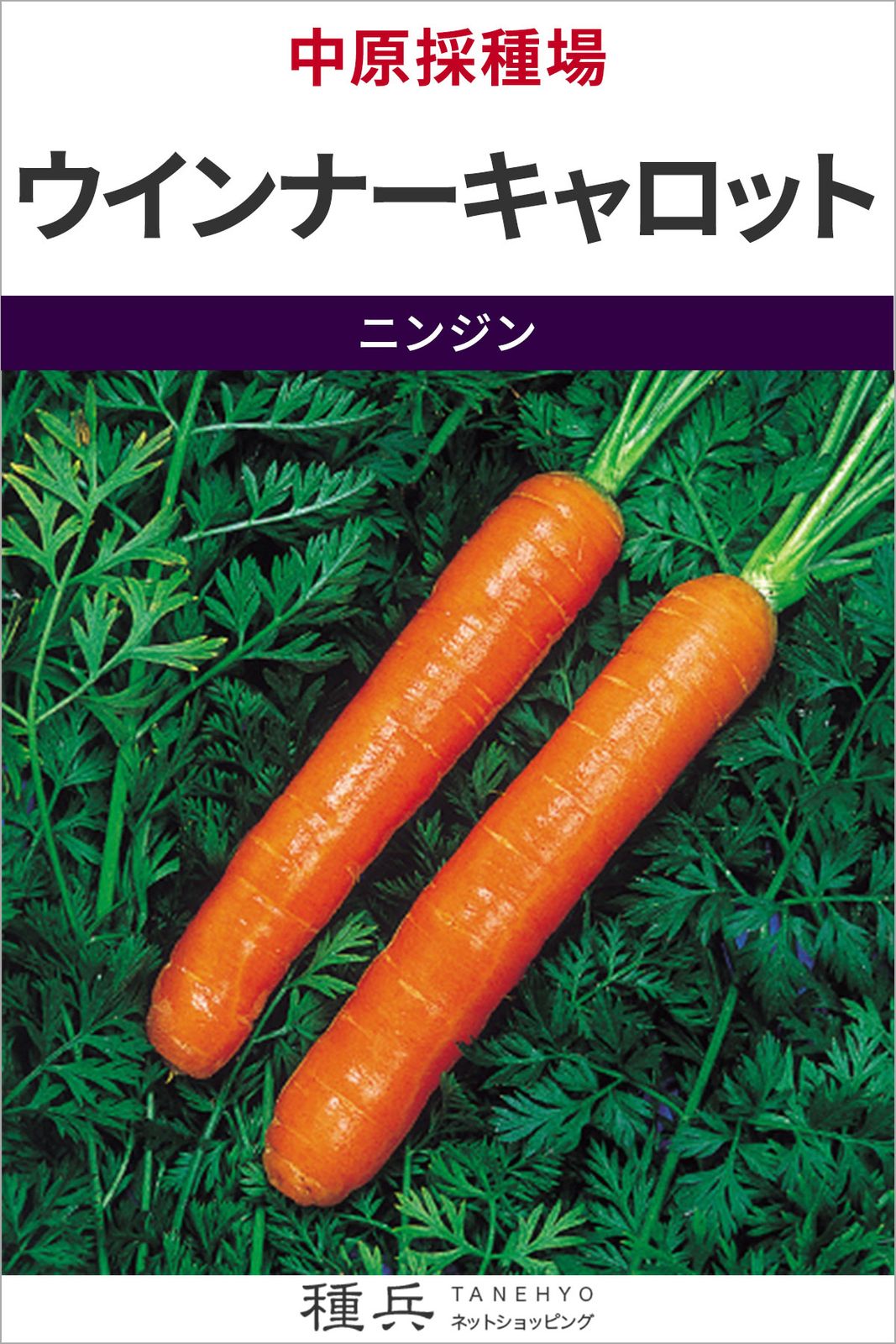 ニンジン 種 『ウインナーキャロット』  中原採種場