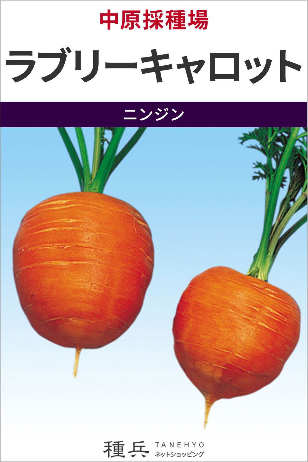 丸型人参 種 『ラブリーキャロット』  中原採種場