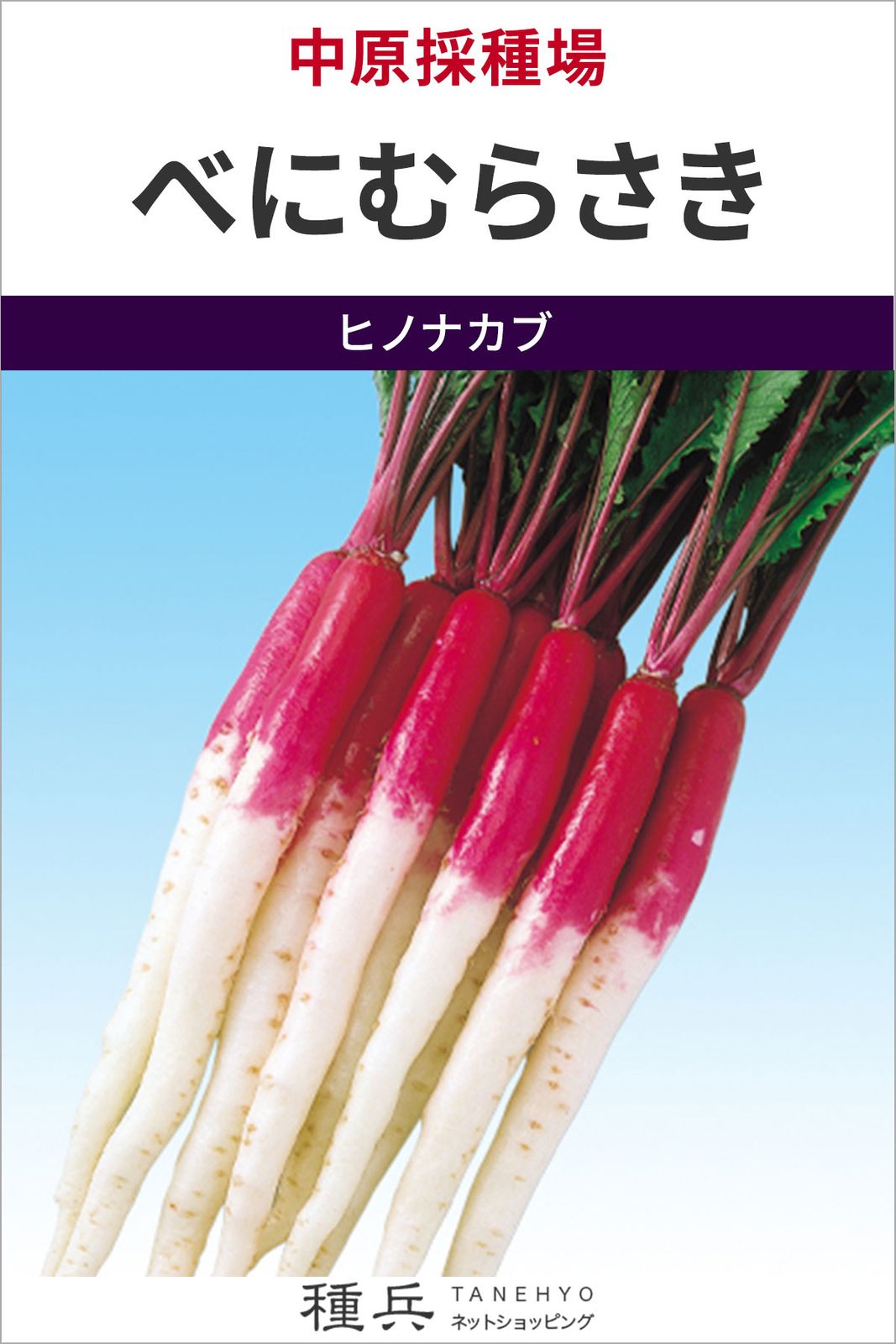 日野菜 種 『べにむらさき』  中原採種場