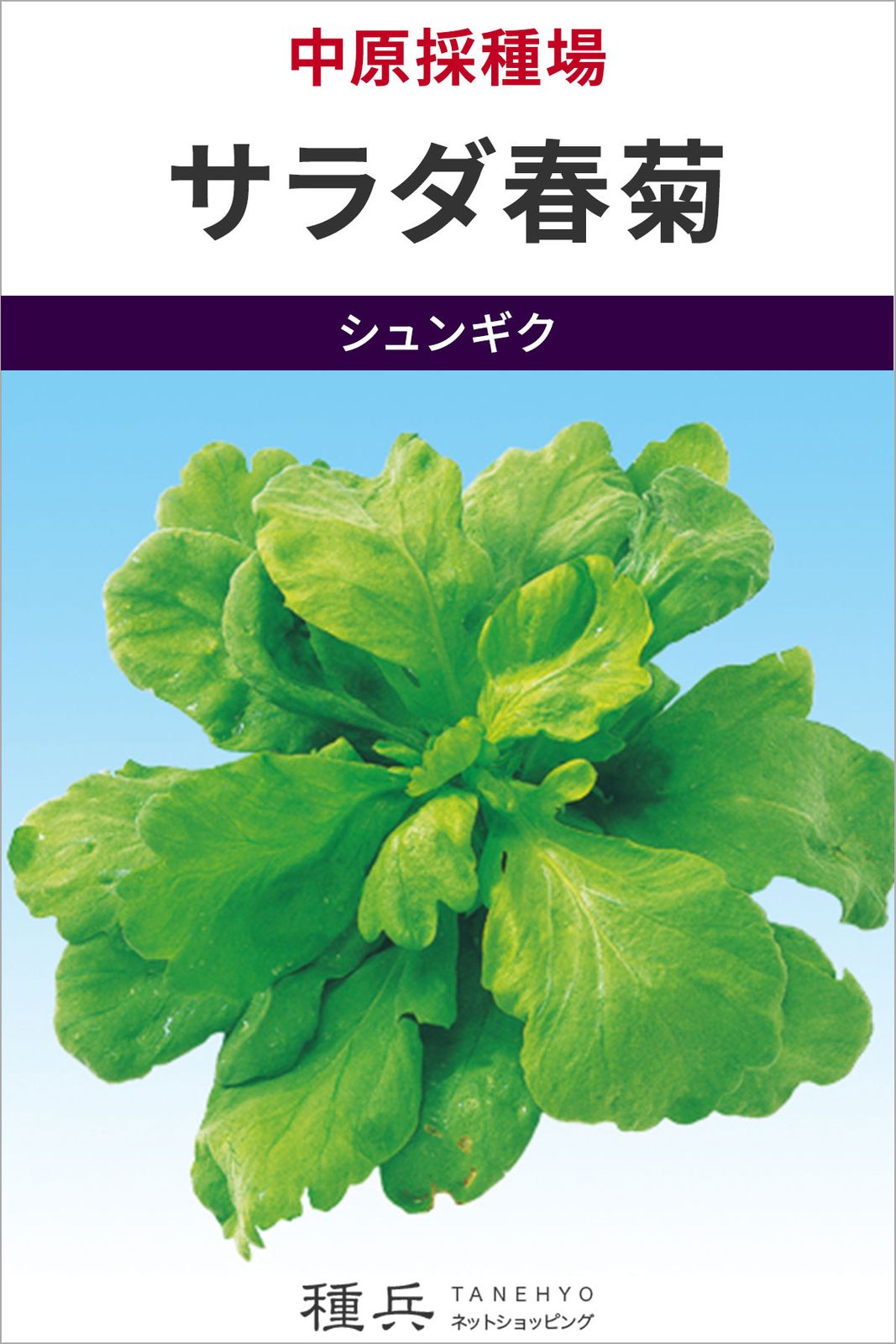 シュンギク 種 『サラダ春菊』  中原採種場