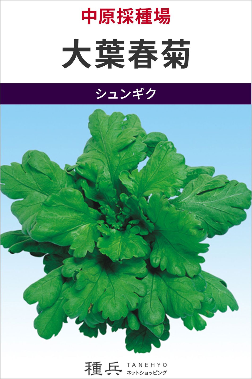 シュンギク 種 『大葉春菊』  中原採種場
