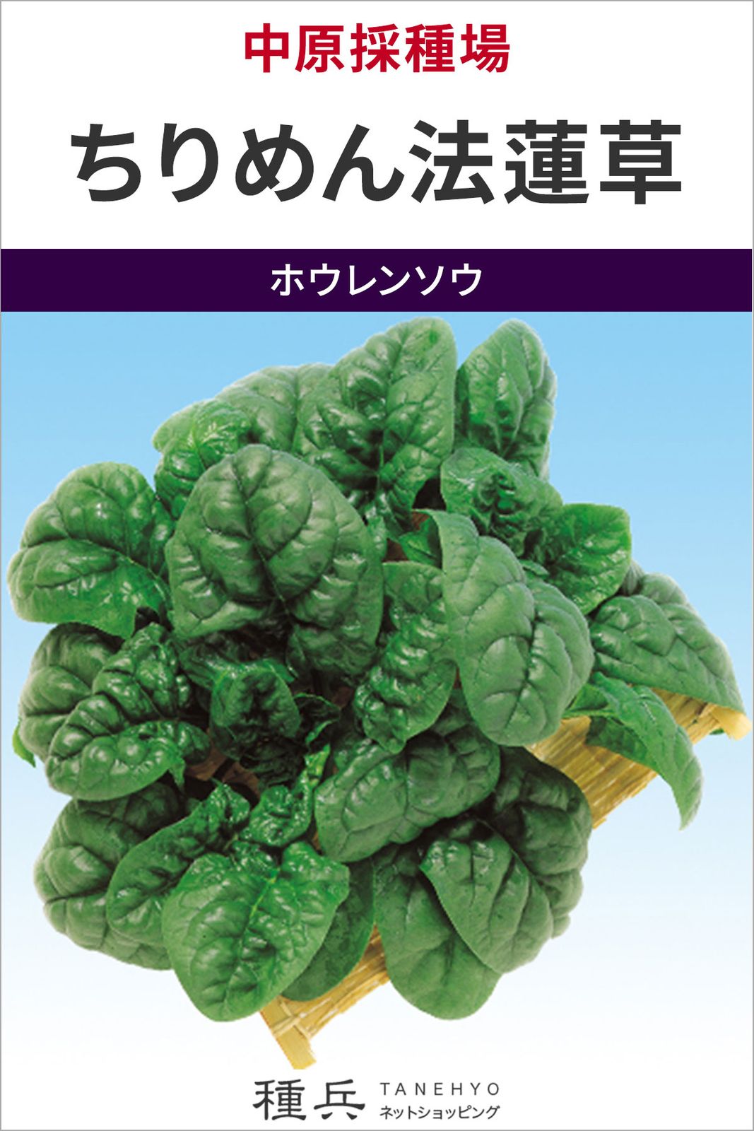 ホウレンソウ 種 『ちりめん法蓮草』  中原採種場