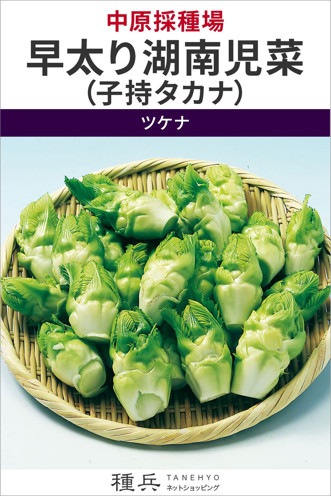子持ちタカナ 種 『早太り湖南児菜（子持タカナ）』  中原採種場