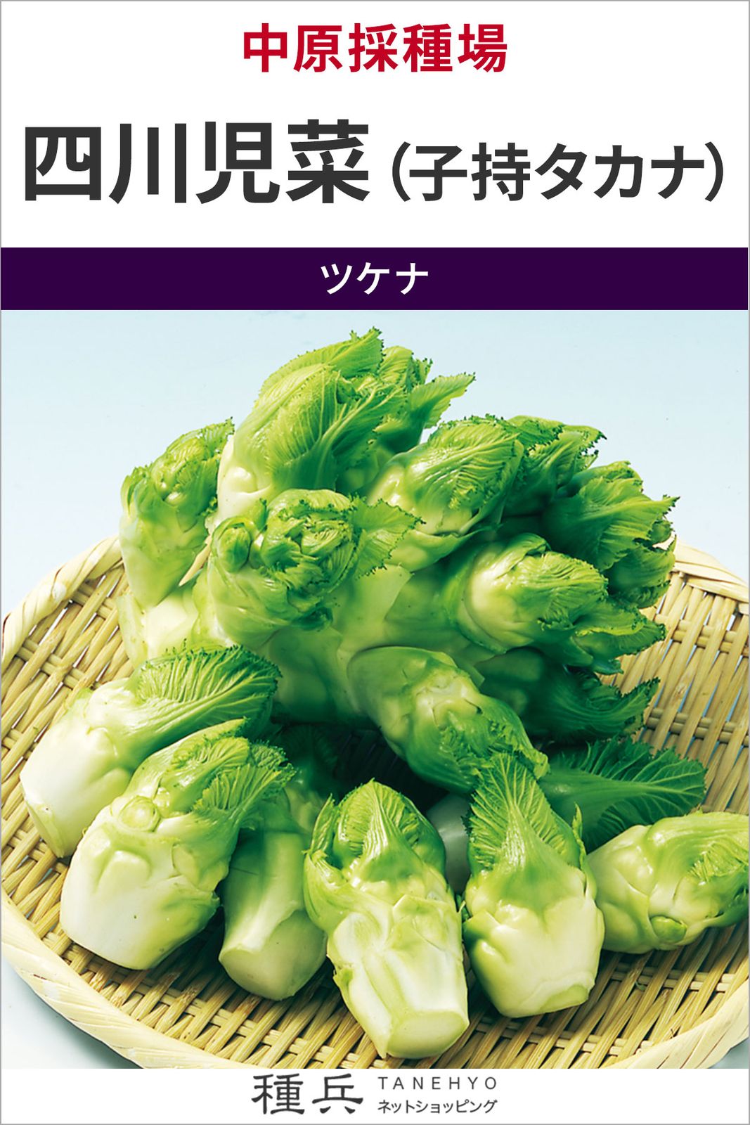 子持ちタカナ 種 『四川児菜（子持タカナ）』  中原採種場