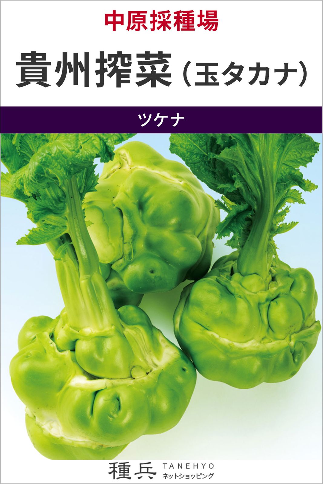 玉タカナ 種 『貴州搾菜（玉タカナ）』  中原採種場