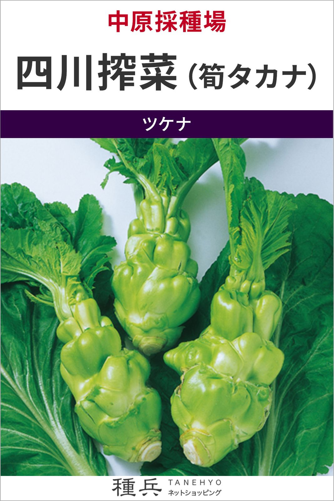 筍タカナ 種 『四川搾菜（筍タカナ）』  中原採種場