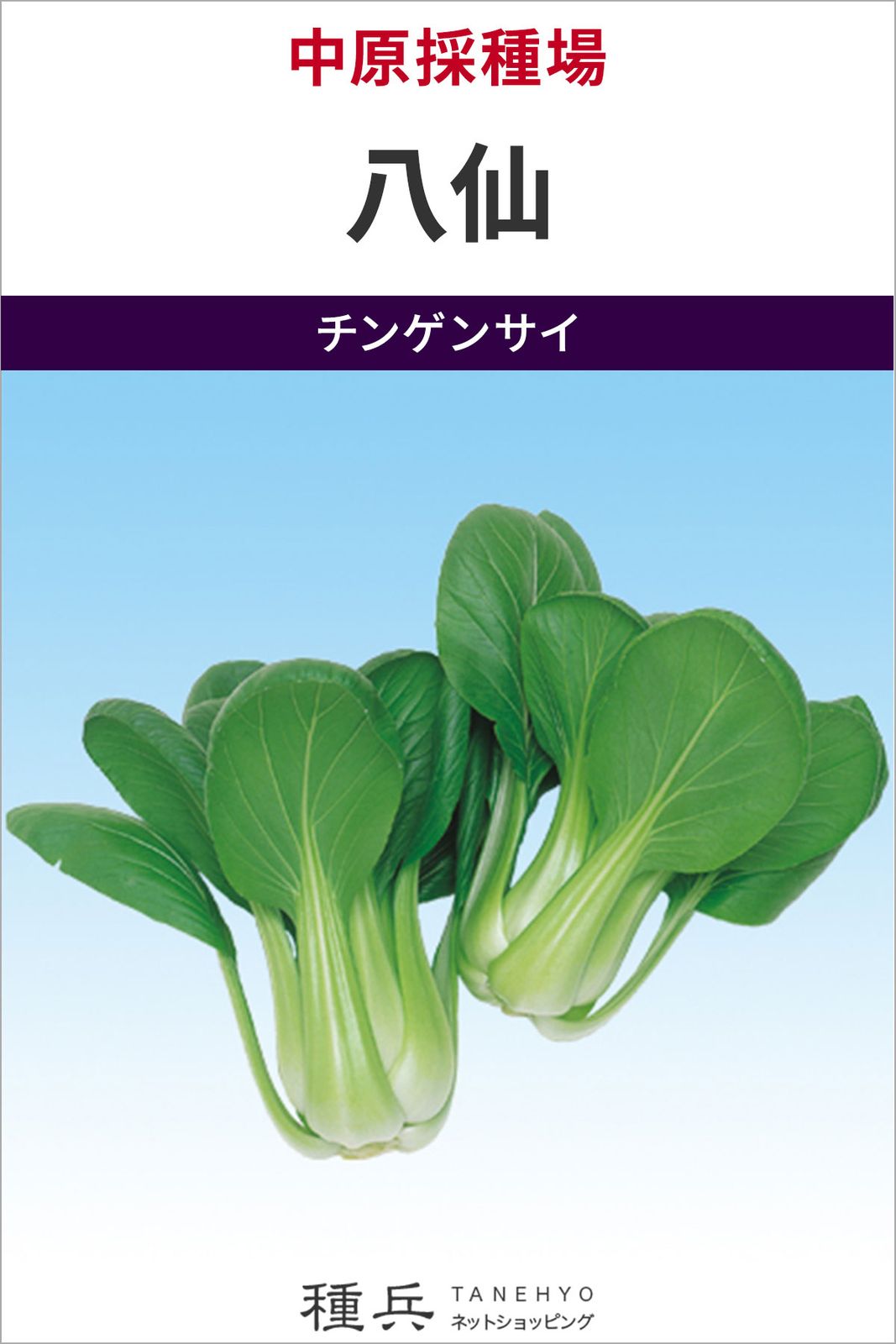 チンゲン菜 種 『八仙』  中原採種場