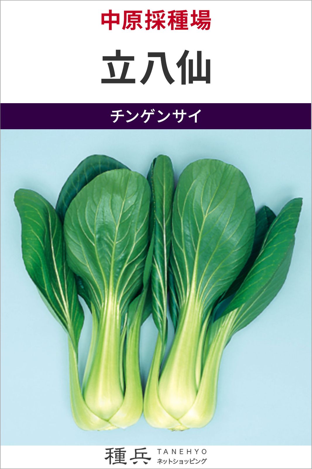 チンゲン菜 種 『立八仙』  中原採種場