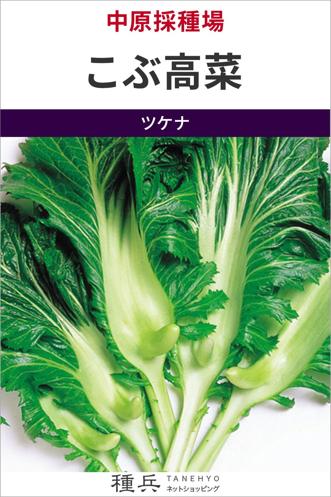 半結球タカナ 種 『こぶ高菜』  中原採種場