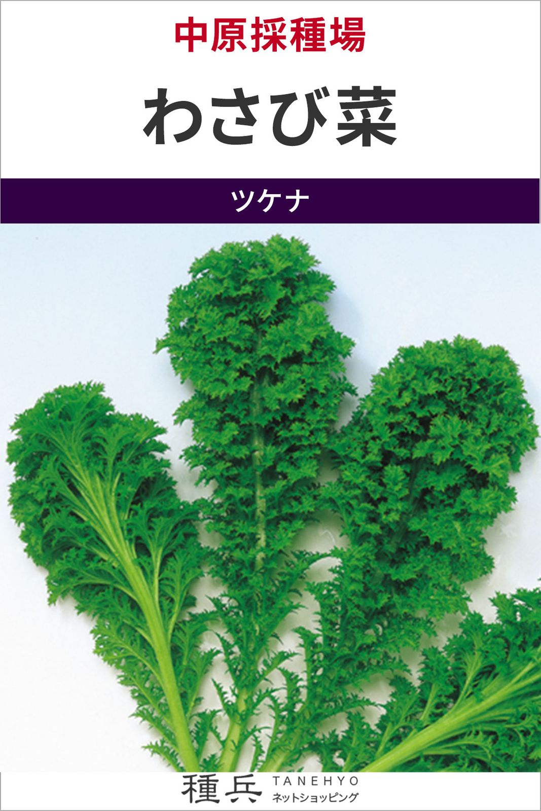 ツケナ 種 『わさび菜』  中原採種場