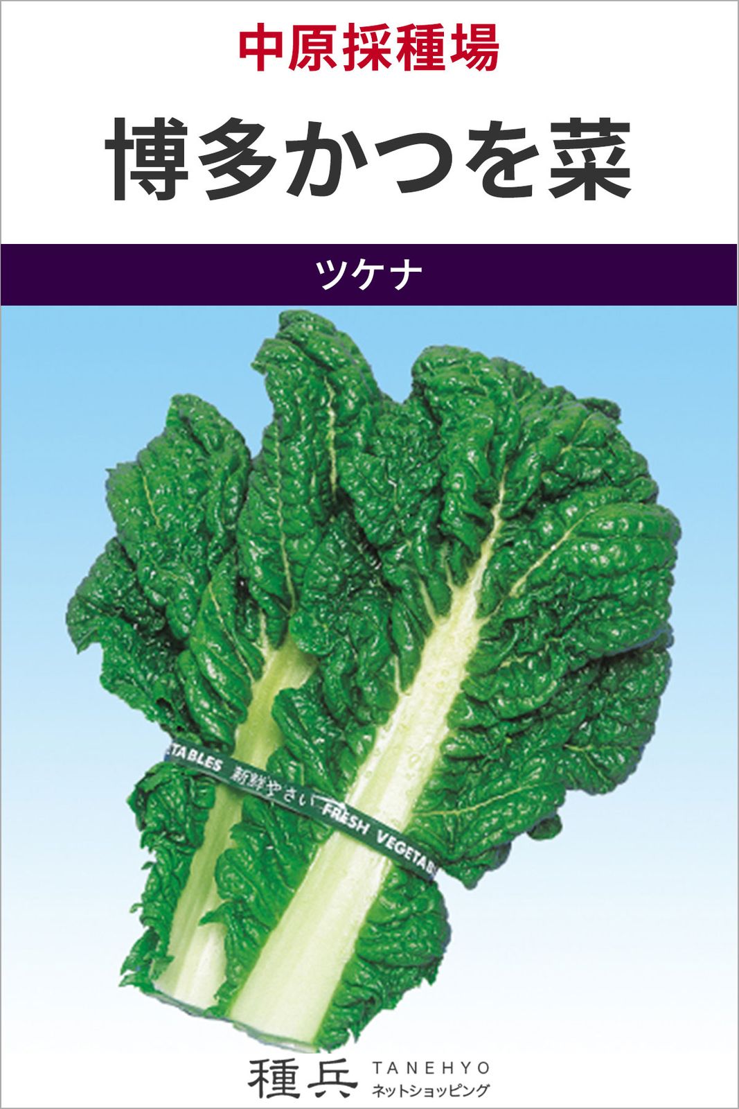 ツケナ 種 『博多かつを菜』  中原採種場