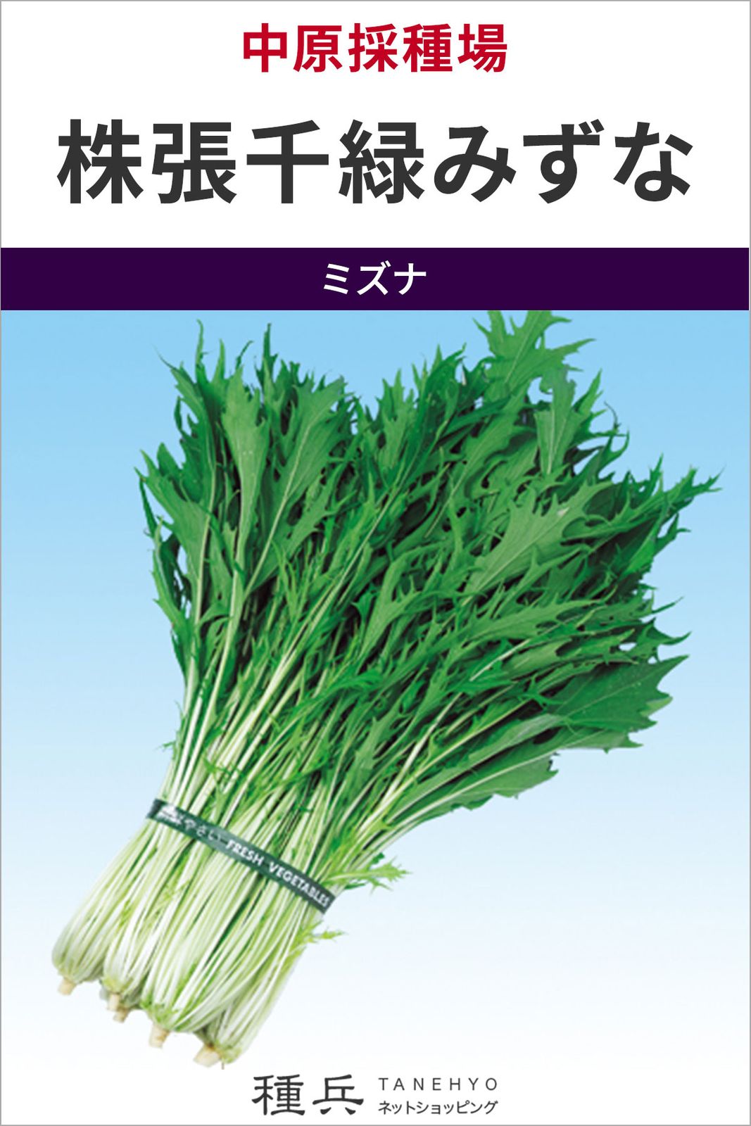 ミズナ 種 『株張千緑みずな』  中原採種場