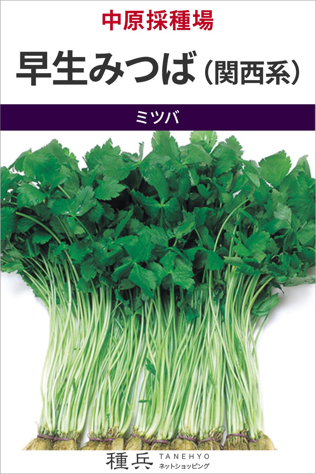 ミツバ 種 『早生みつば（関西系）』  中原採種場