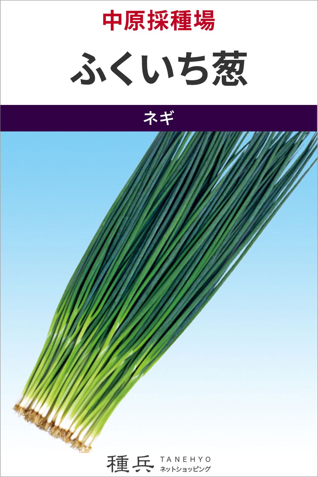 葉ネギ 種 『ふくいち葱』  中原採種場