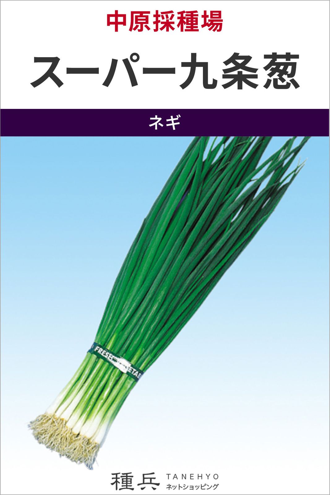 葉ネギ 種 『スーパー九条葱』  中原採種場