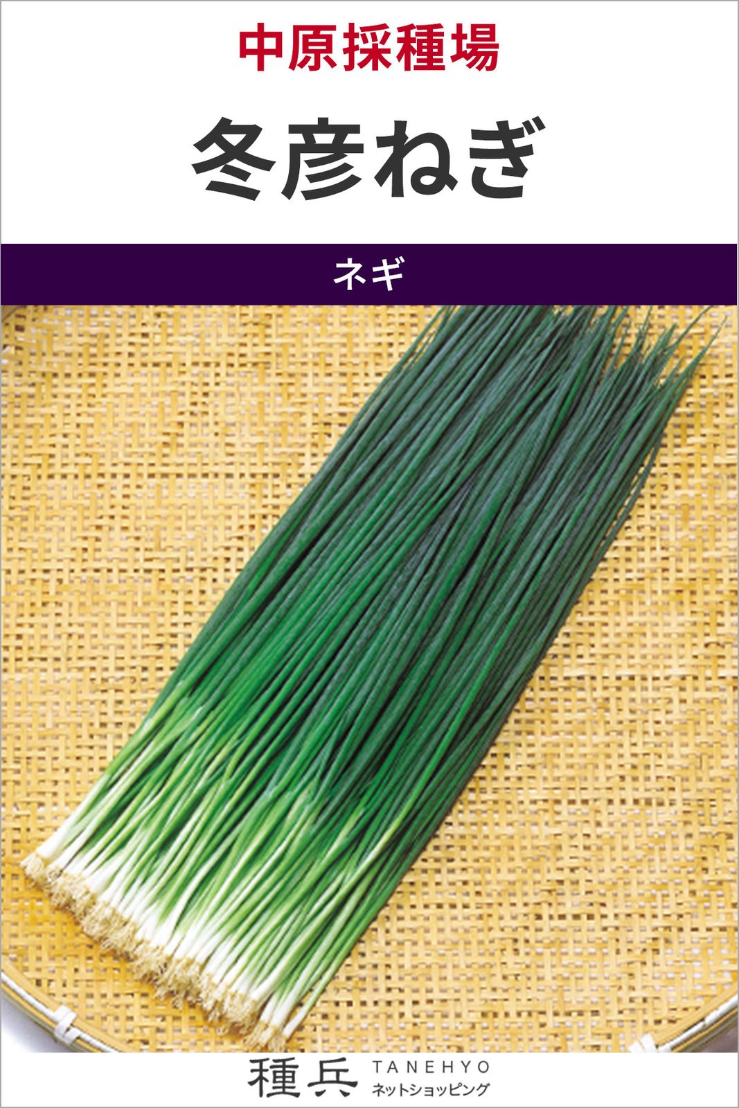葉ネギ 種 『冬彦ねぎ』  中原採種場