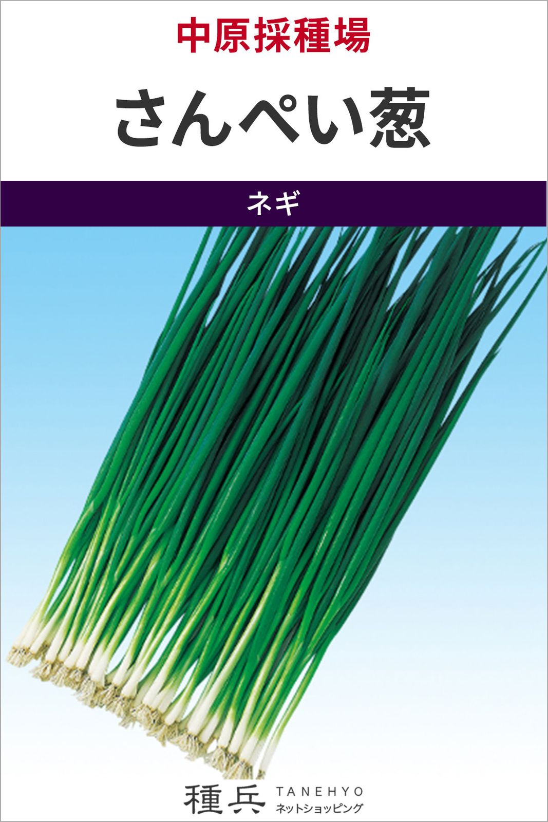葉ネギ 種 『さんぺい葱』  中原採種場