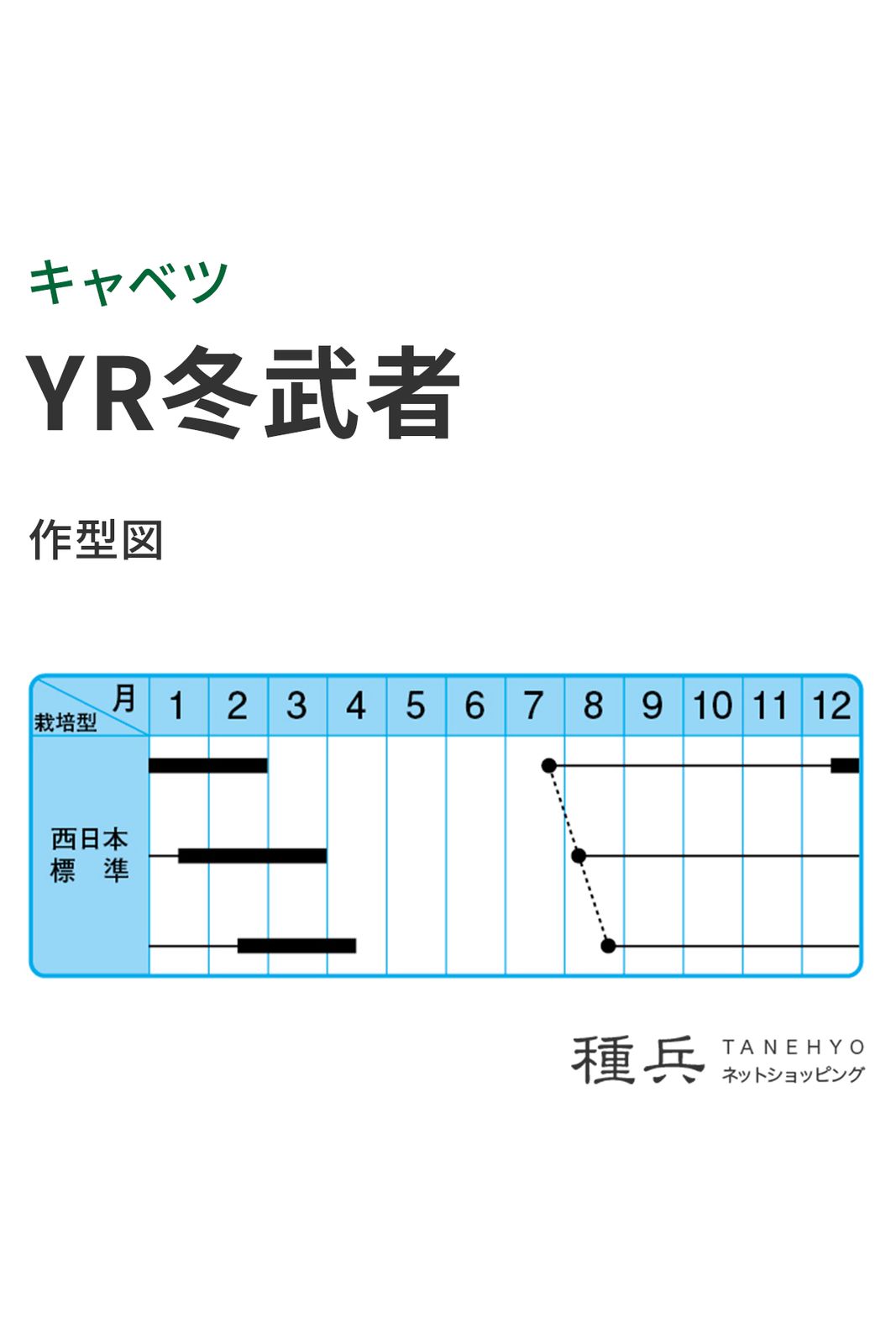 冬どりキャベツ 種 『YR冬武者』 中原採種場 | たね,葉菜の種,キャベツ