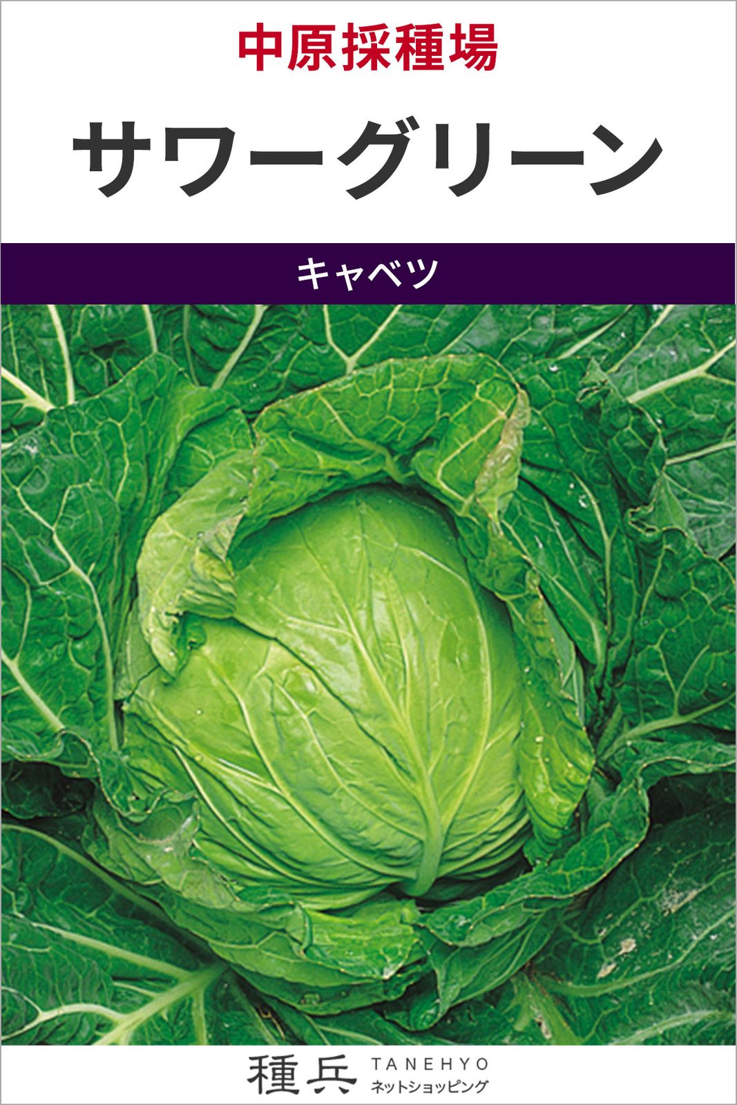 キャベツ 種 『サワーグリーン』  中原採種場