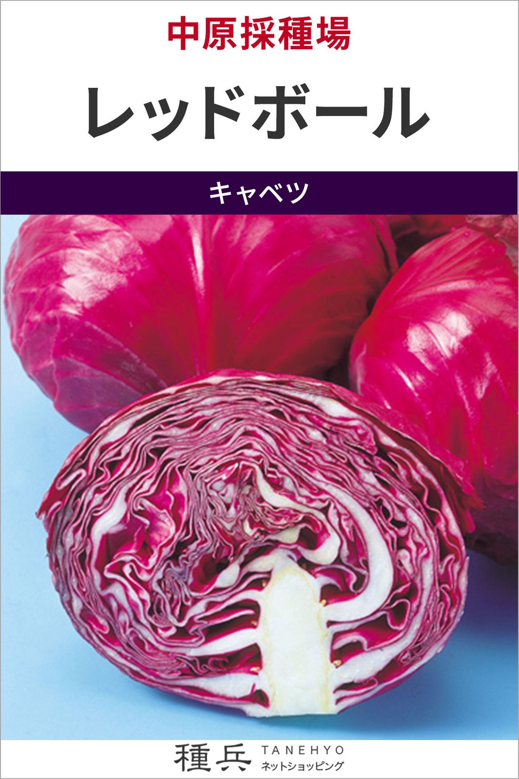 キャベツ 種 『レッドボール』  中原採種場