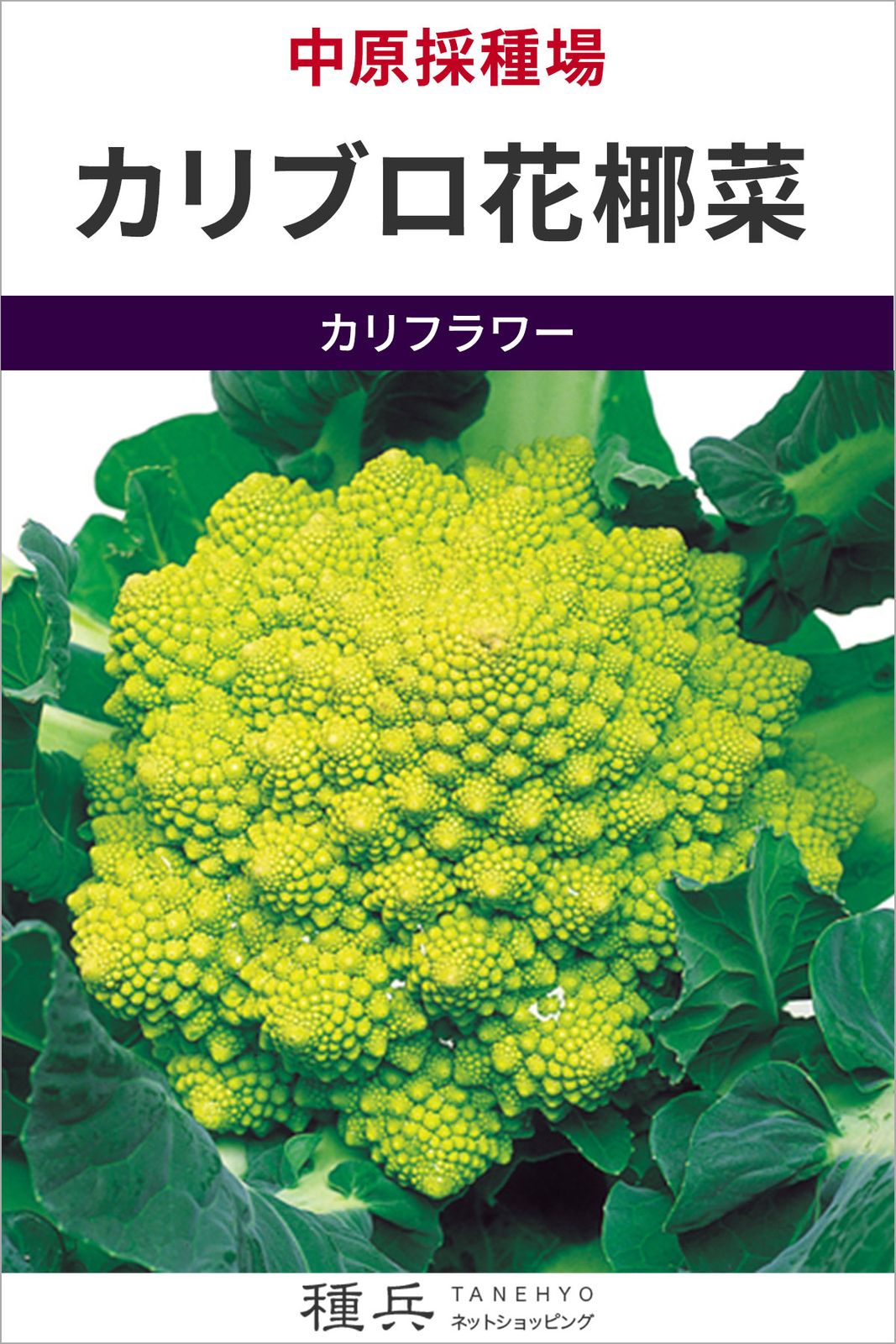 ロマネスコ 種 『カリブロ花椰菜』  中原採種場