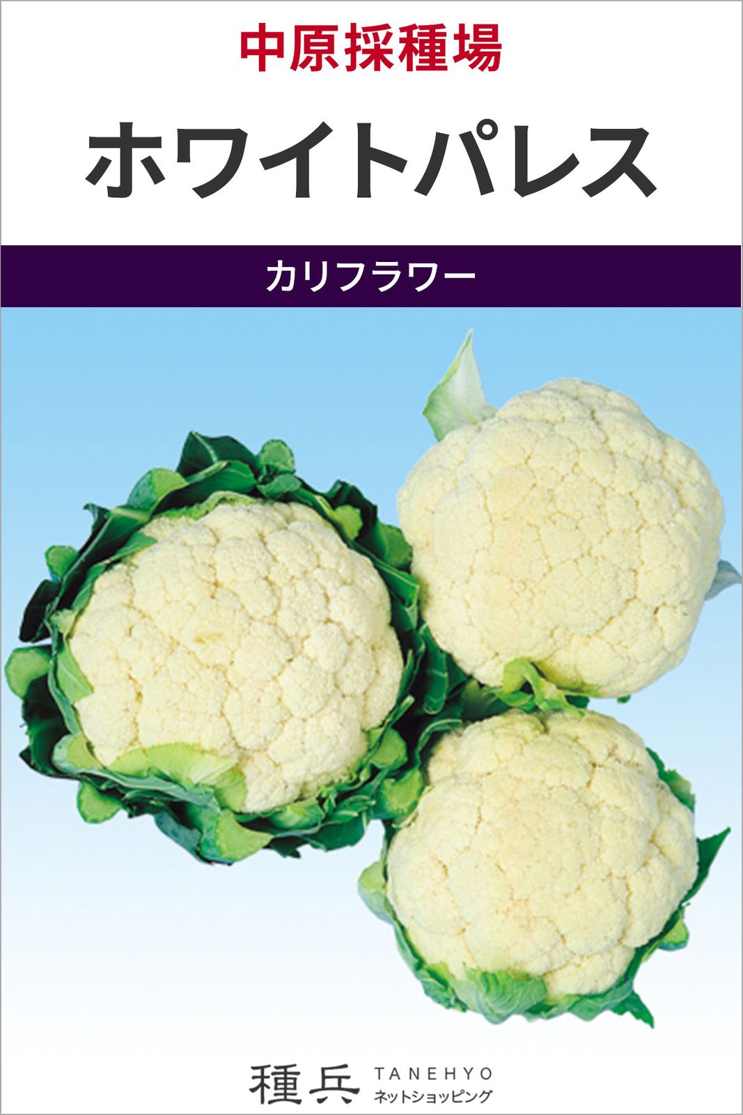 カリフラワー 種 『ホワイトパレス』  中原採種場