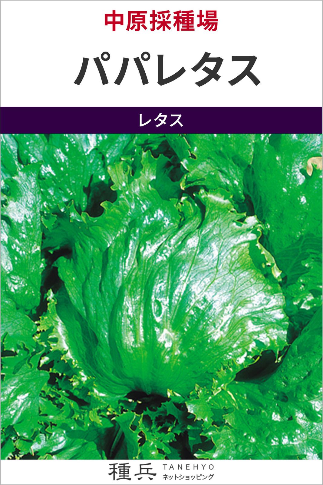 玉レタス 種 『パパレタス』  中原採種場
