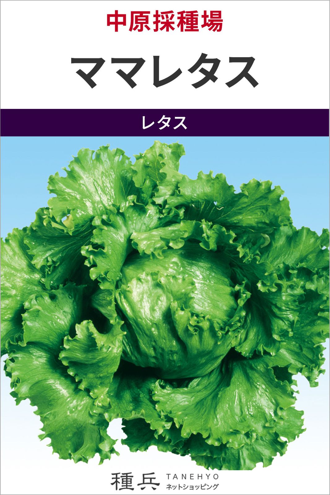 玉レタス 種 『ママレタス』  中原採種場