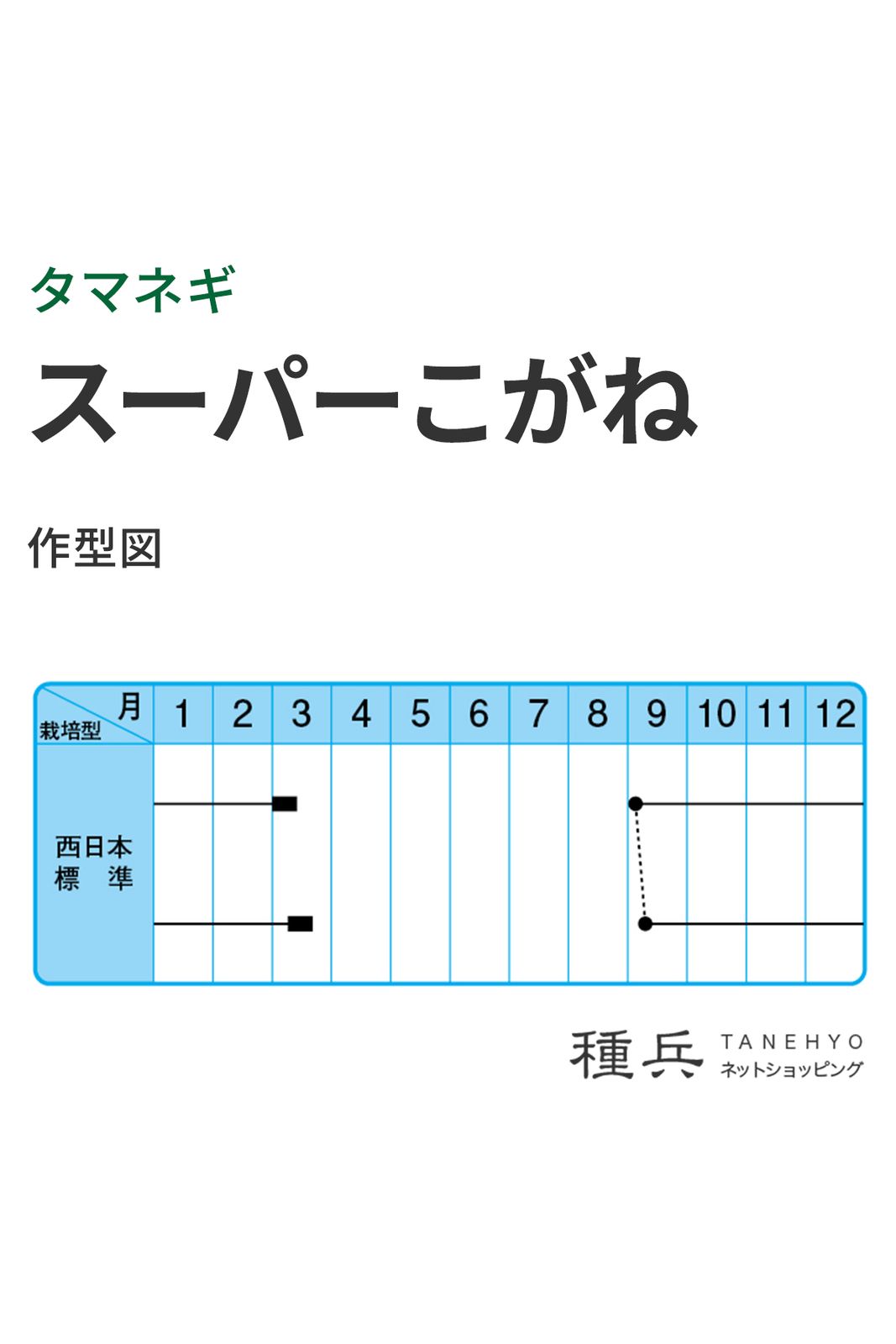 超極早生玉ねぎ 種 『スーパーこがね』 中原採種場 | たね,根菜の種