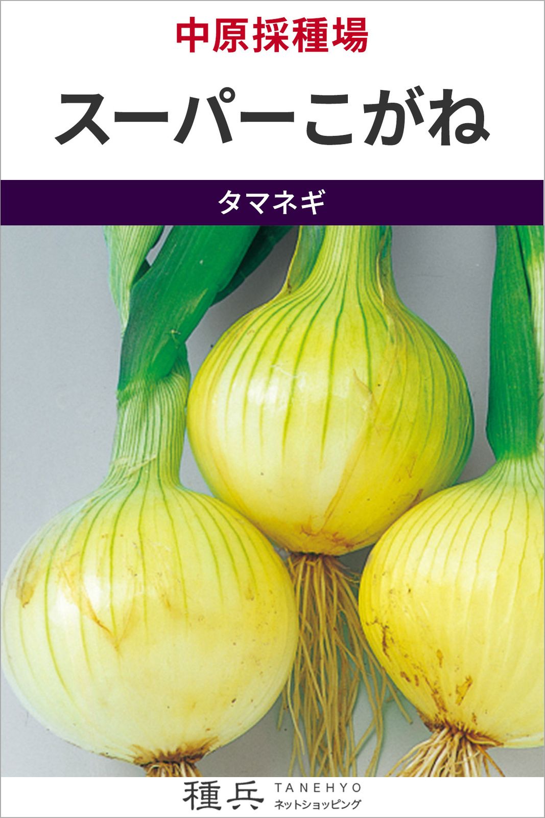 超極早生玉ねぎ 種 『スーパーこがね』  中原採種場