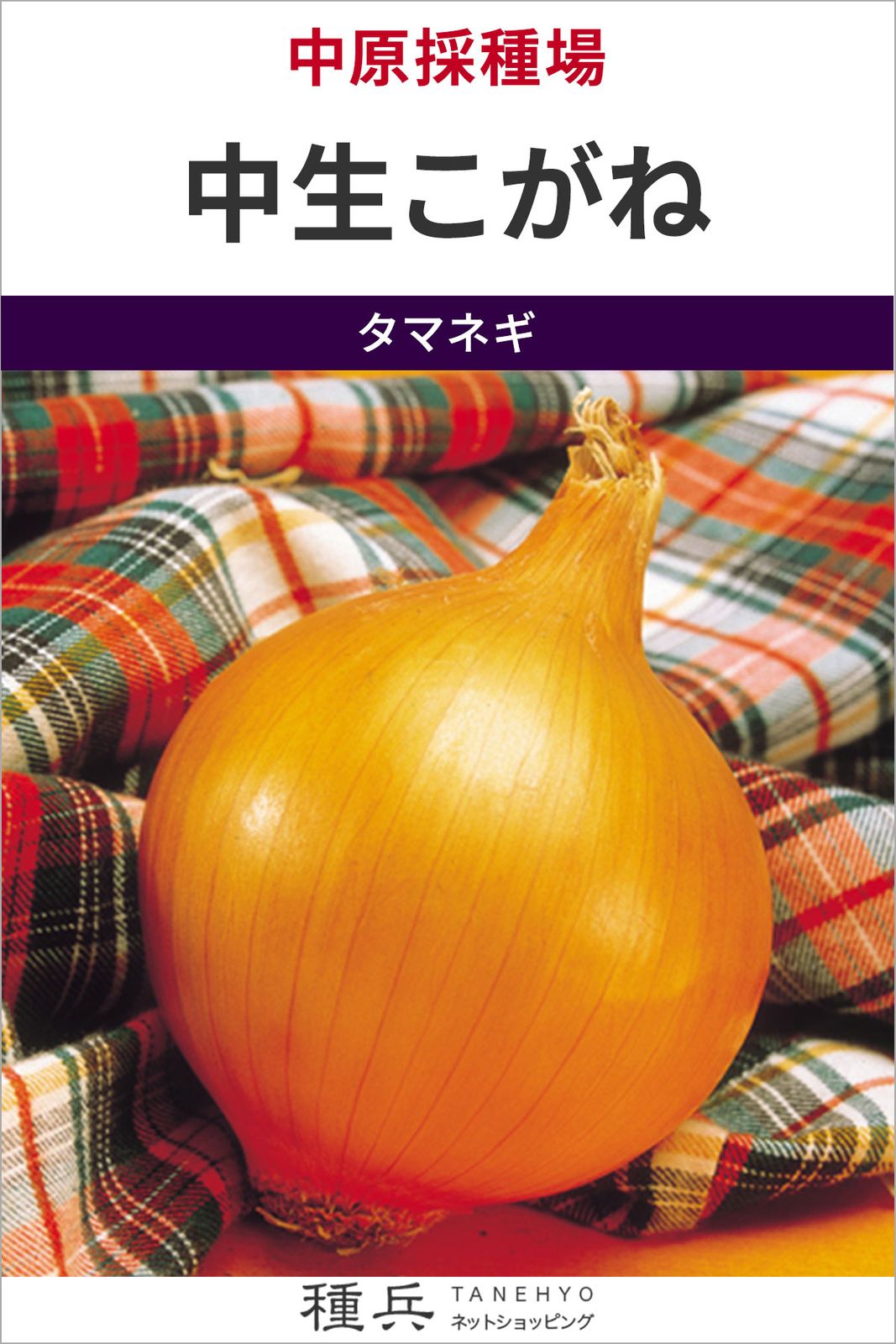 中生玉ねぎ 種 『中生こがね』  中原採種場