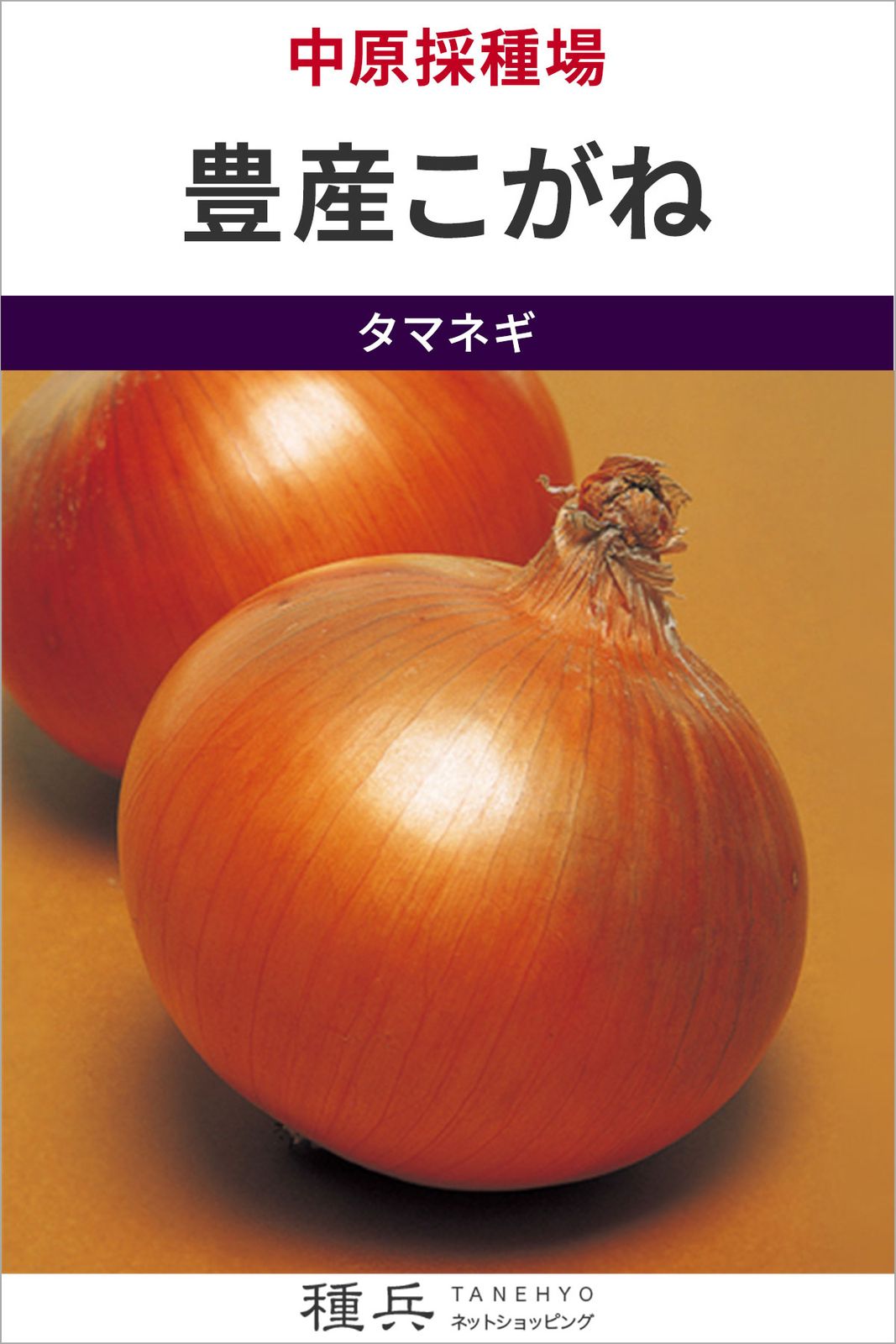 中生玉ねぎ 種 『豊産こがね』  中原採種場