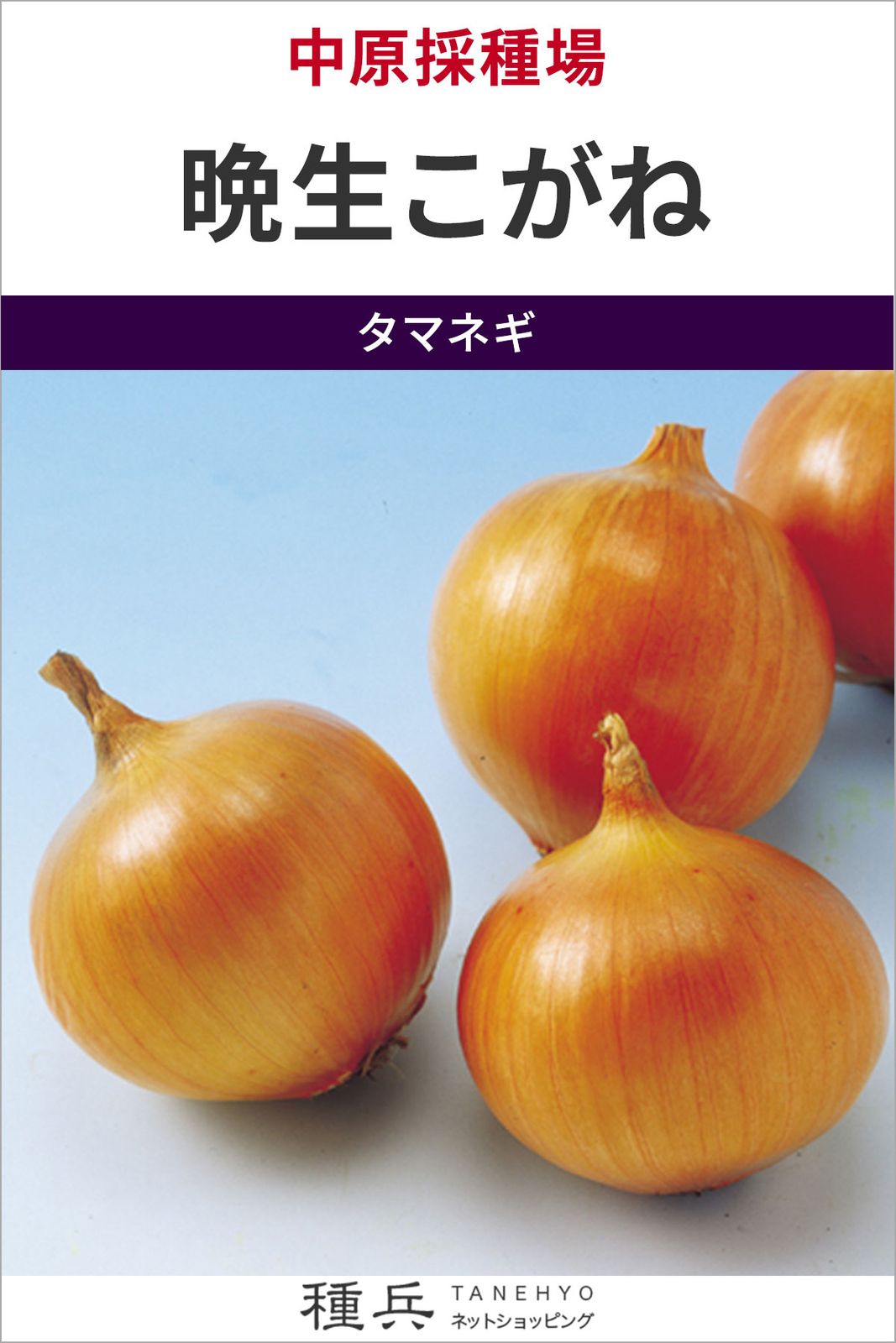 晩生玉ねぎ 種 『晩生こがね』  中原採種場