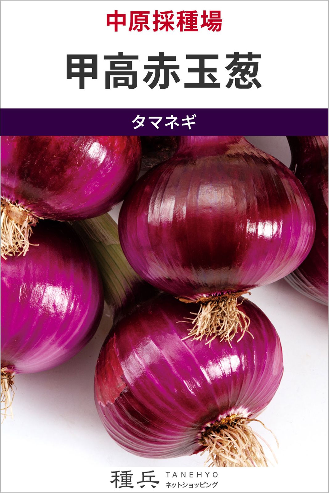 赤タマネギ 種 『甲高赤玉葱』  中原採種場