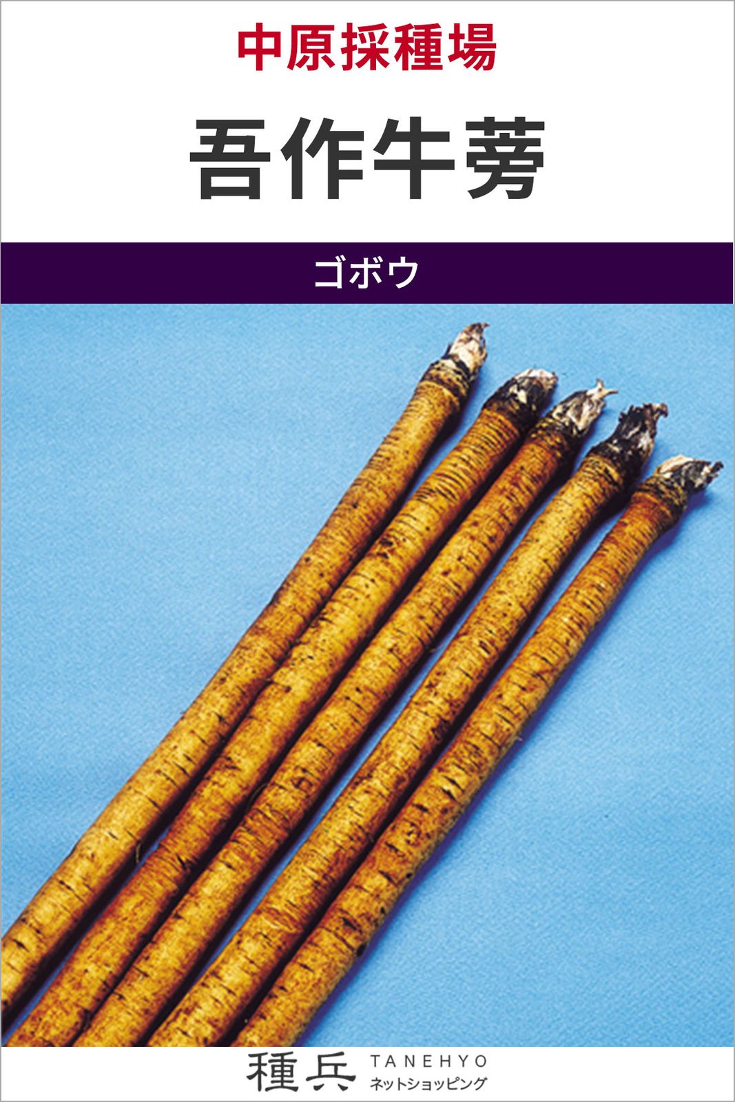 ゴボウ 種 『吾作牛蒡』  中原採種場