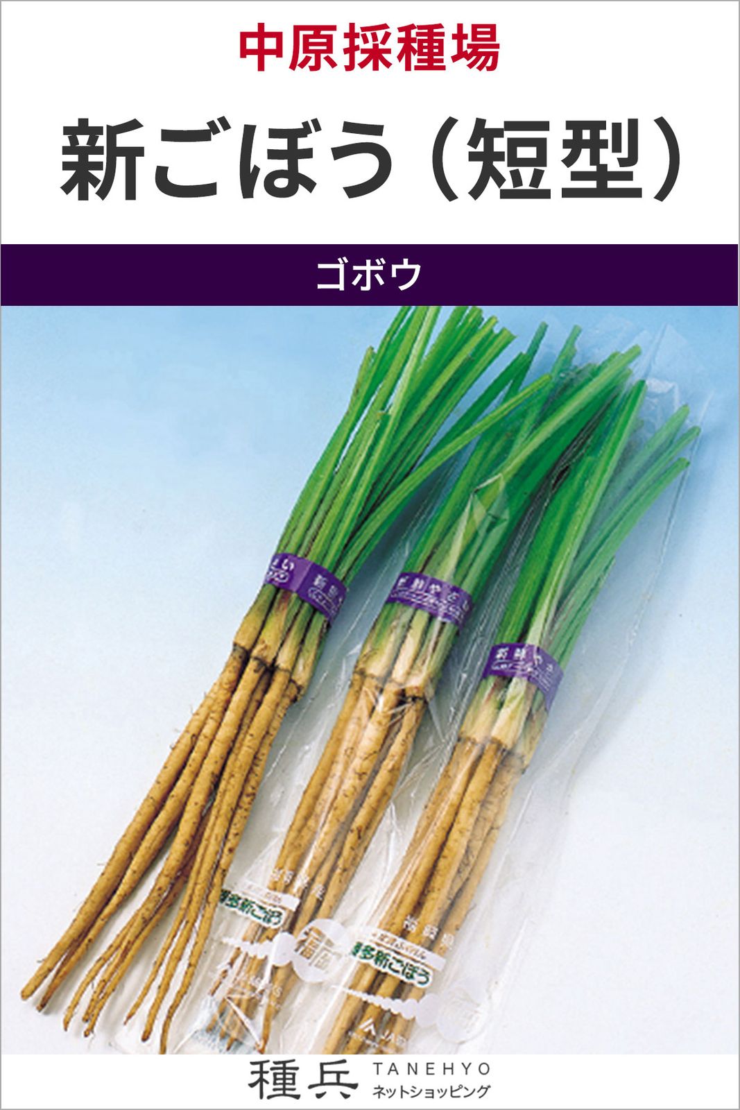 ゴボウ 種 『新ごぼう（短型）』  中原採種場