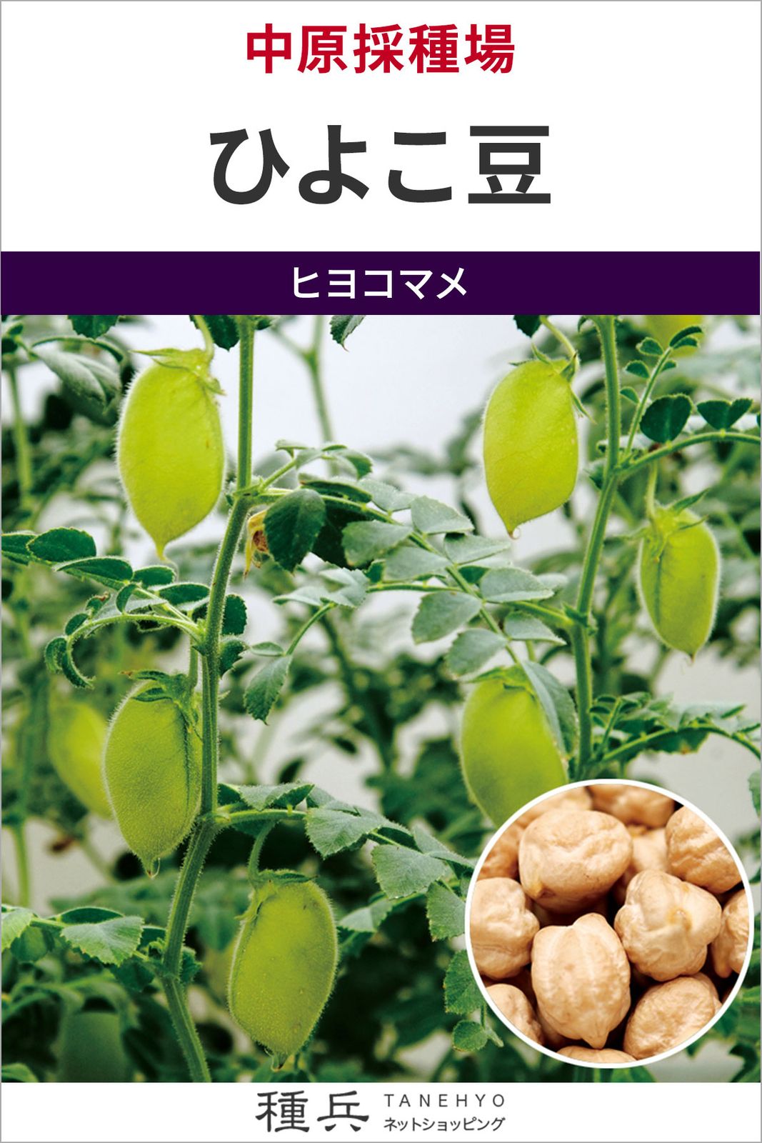 ヒヨコマメ 種 『ひよこ豆』  中原採種場