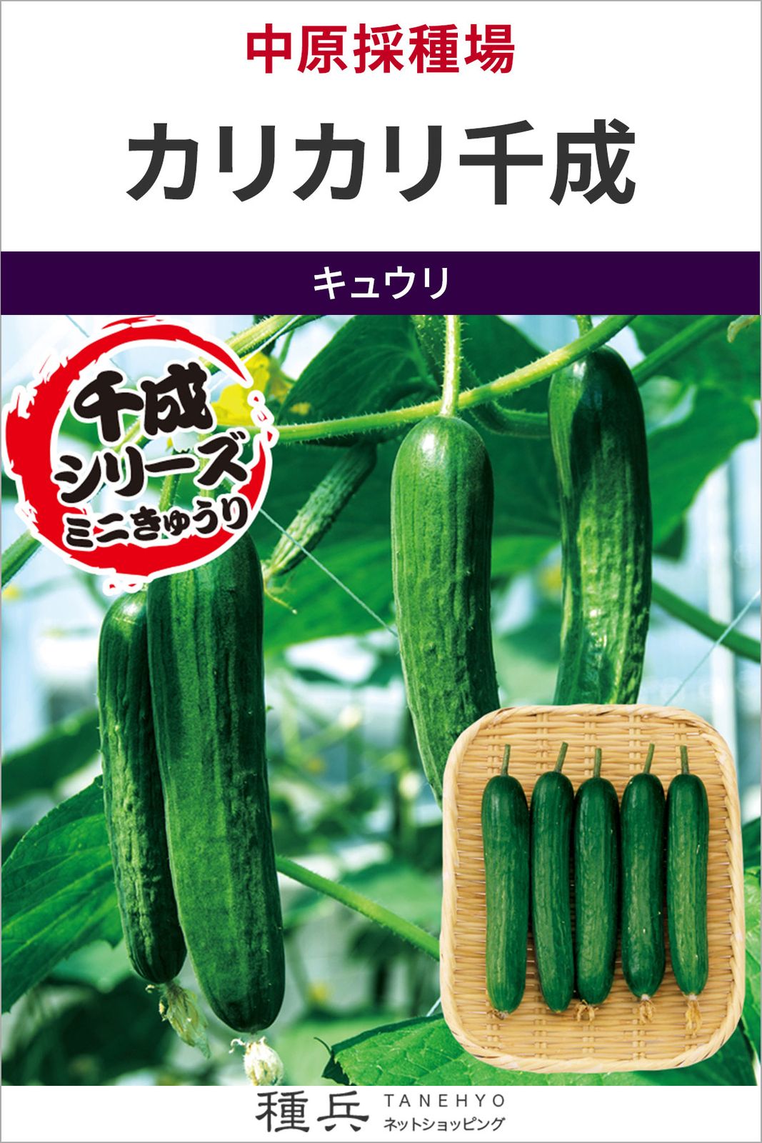ミニキュウリ 種 『カリカリ千成』  中原採種場