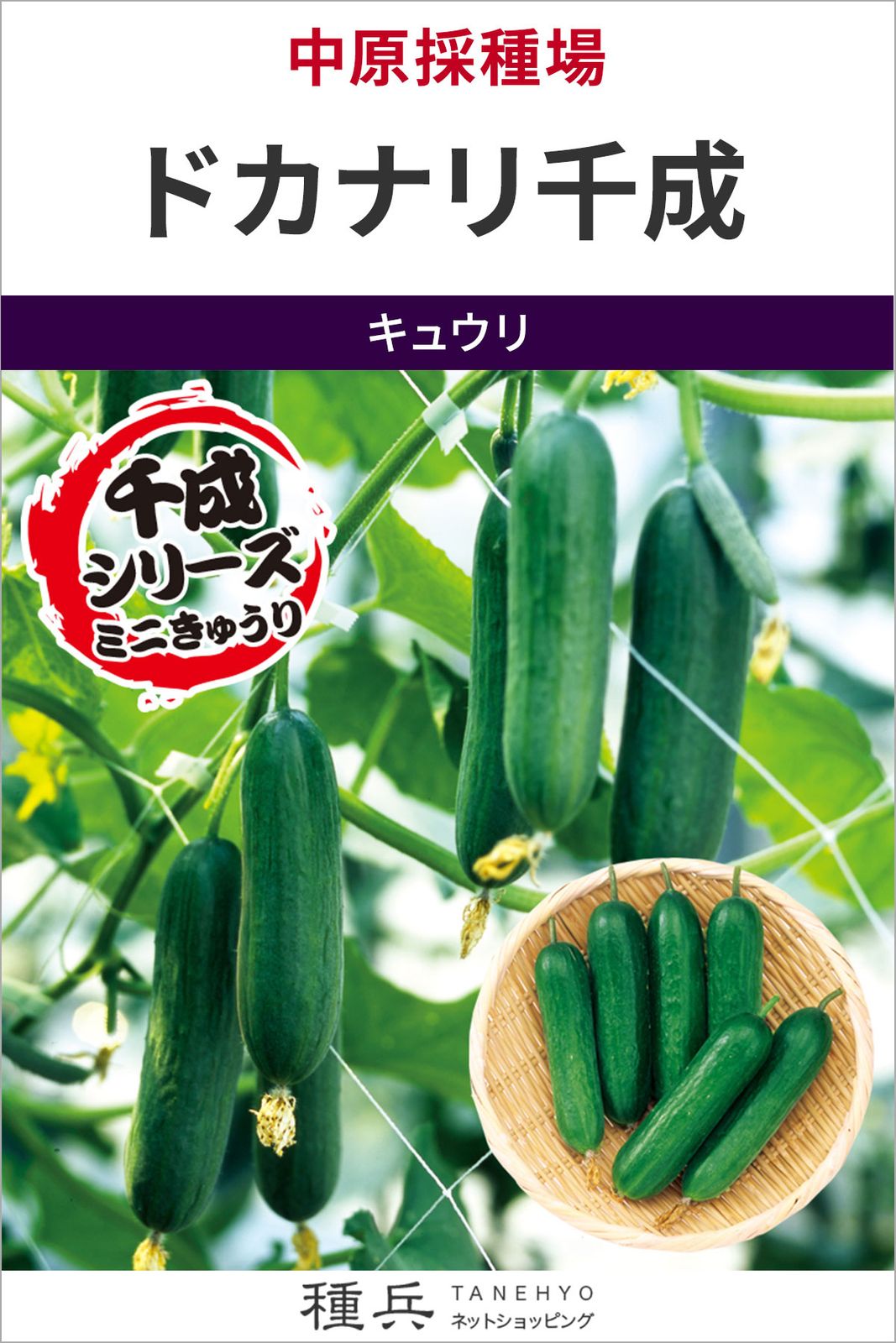 ミニキュウリ 種 『ドカナリ千成』  中原採種場