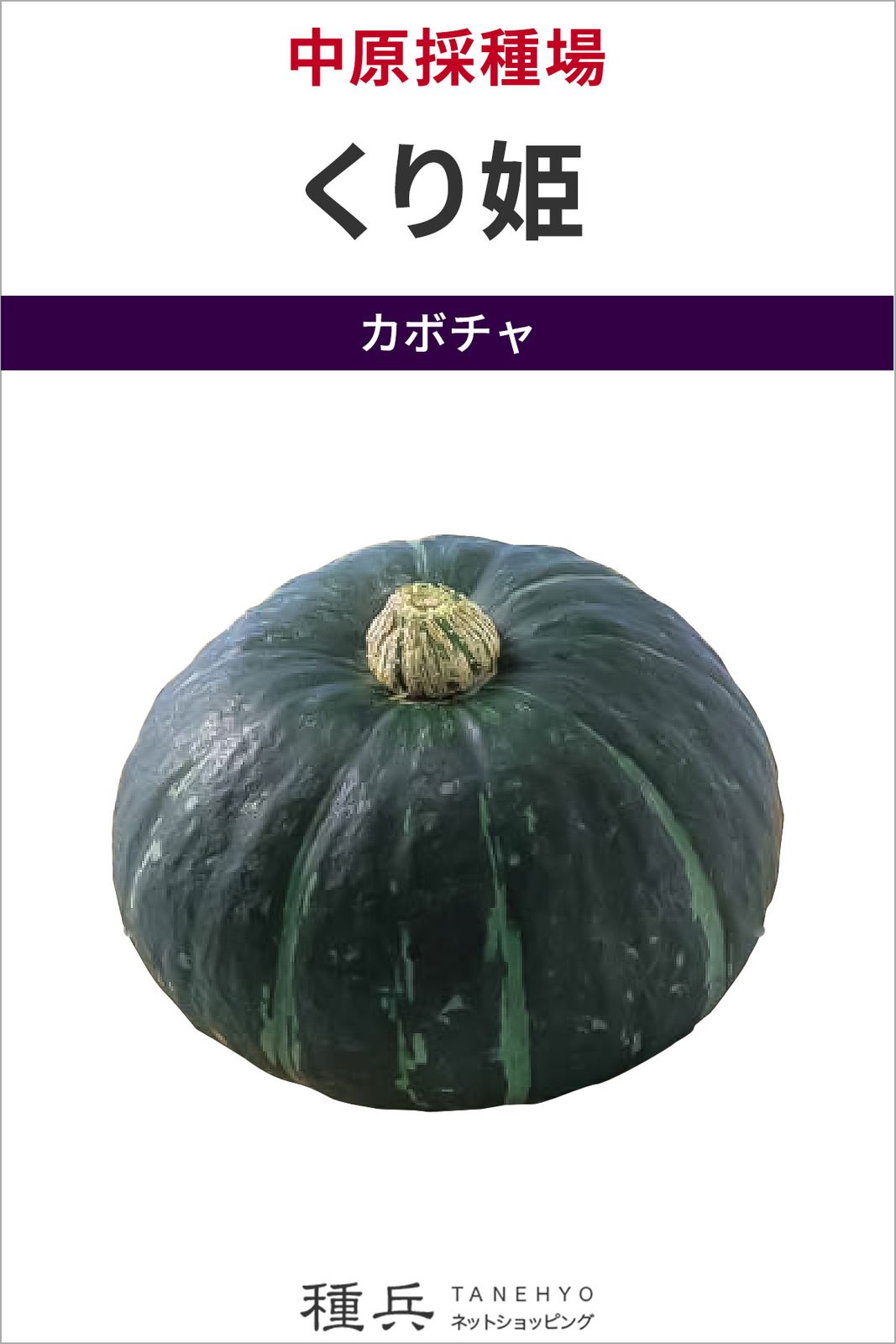 ミニカボチャ 種 『くり姫』  中原採種場