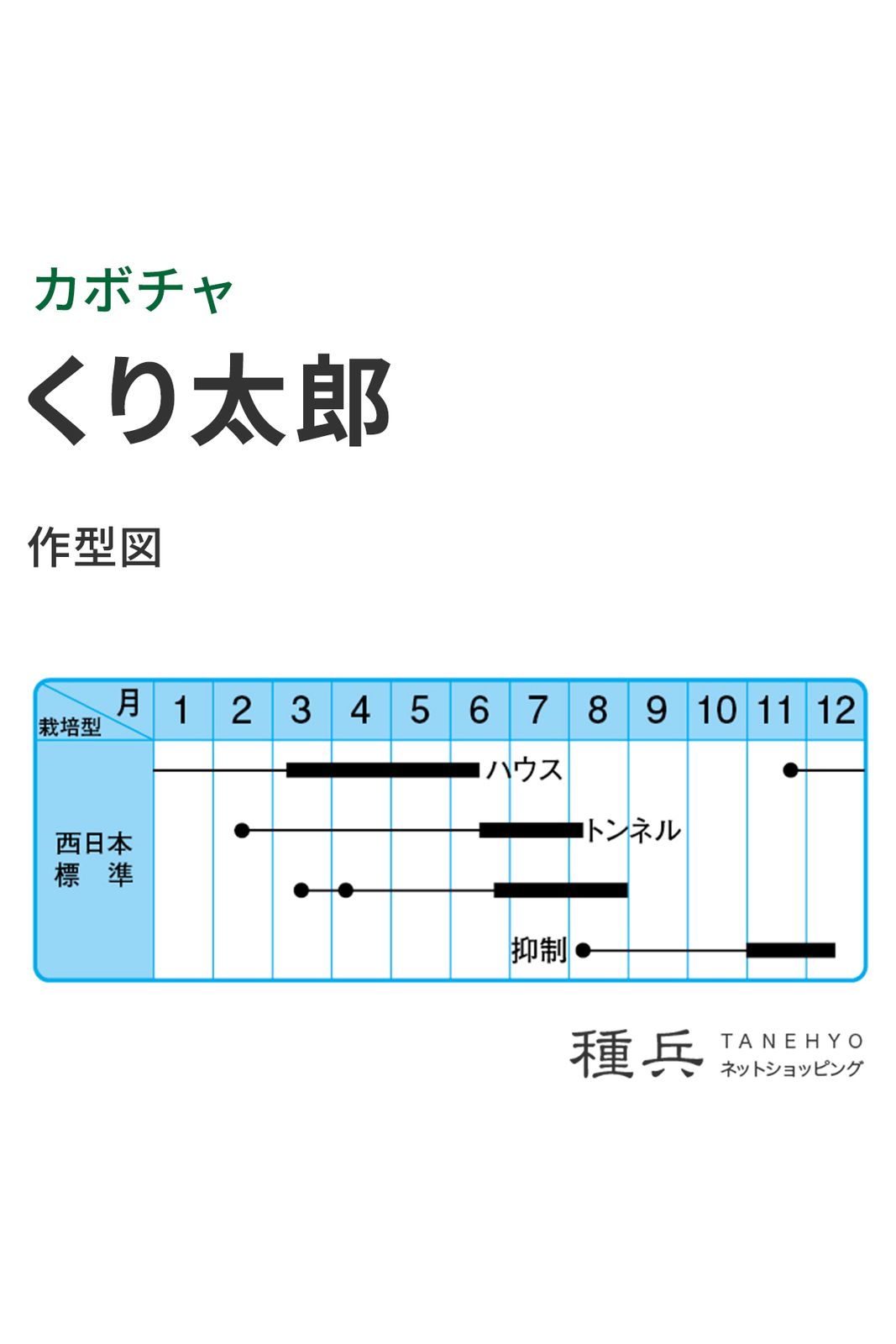 栗カボチャ 種 『くり太郎』 中原採種場 | たね,果菜の種,カボチャ,栗