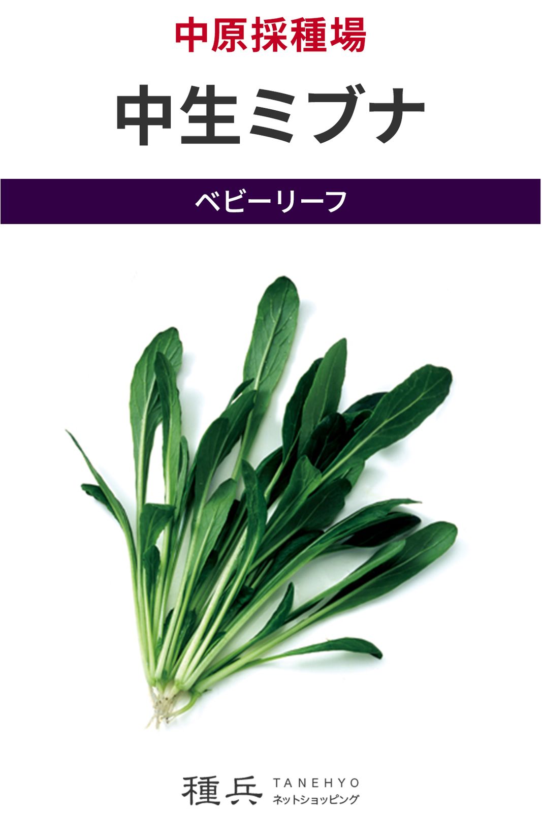 ベビーリーフ 種 『中生ミブナ』  中原採種場