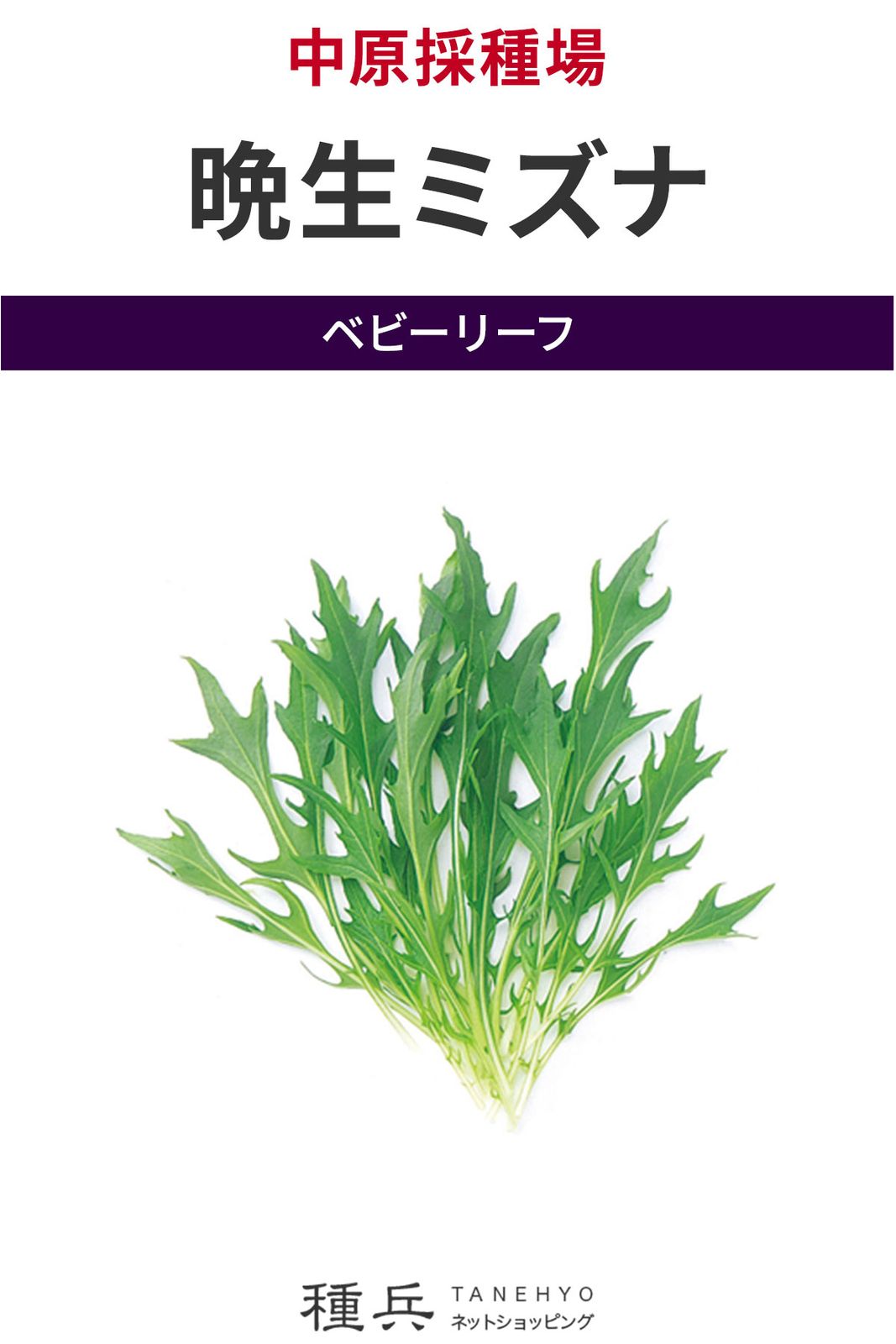 ベビーリーフ 種 『晩生ミズナ』  中原採種場