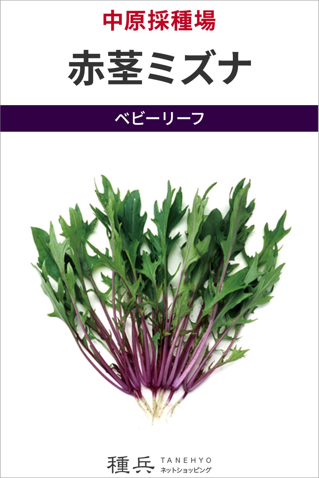 ベビーリーフ 種 『赤茎ミズナ』  中原採種場