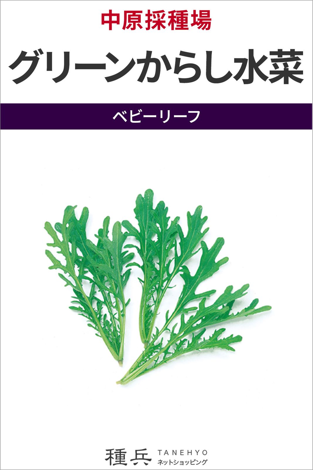 ベビーリーフ 種 『グリーンからし水菜』  中原採種場