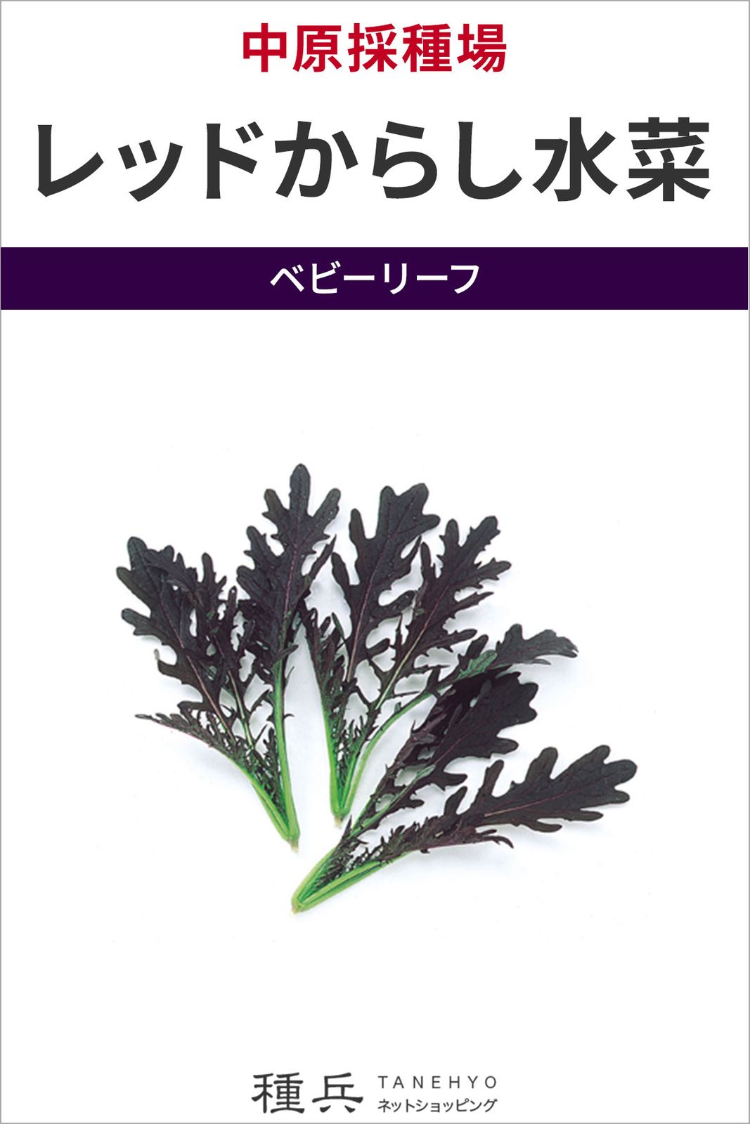 ベビーリーフ 種 『レッドからし水菜』  中原採種場