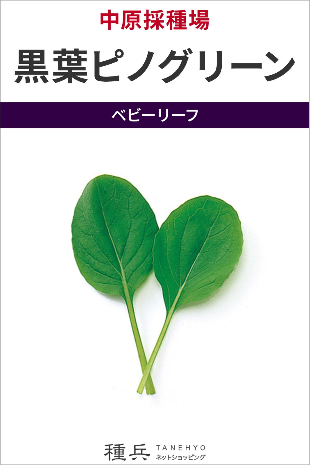 ベビーリーフ 種 『F1 黒葉ピノグリーン』  中原採種場